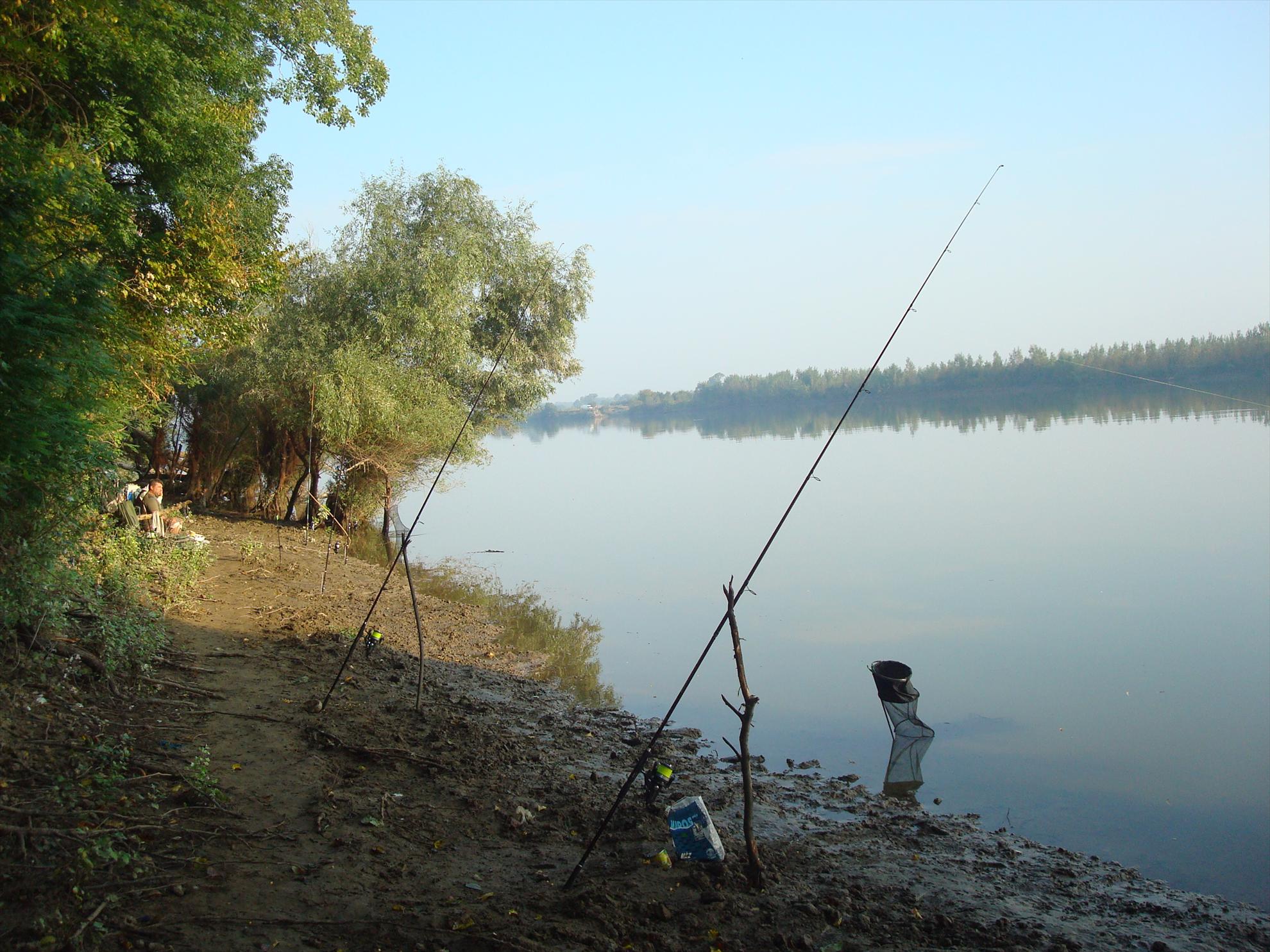 pescuit la Dunare - dsc06689.JPG